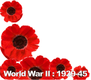WW2 Poppies