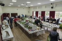 Hampsthwaite Show - click for full size image Hampsthwaite Show - click for full size image
