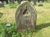 Sarah Jane Wilson Plot 2013 - click for full size image Sarah Jane Wilson Plot 2013 - click for full size image