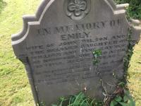 Emily Wilson Plot 2041 - click for full size image Emily Wilson Plot 2041 - click for full size image