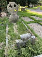 Ann Simpson Plot 3023 - click for full size image Ann Simpson Plot 3023 - click for full size image