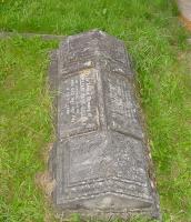 William Hare-Gill Plot 3011 - click for full size image William Hare-Gill Plot 3011 - click for full size image