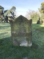 Joseph Rhodes Plot 2024 - click for full size image