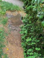 Mary Settle Plot 3006 - click for full size image Mary Settle Plot 3006 - click for full size image