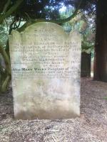 Ann Hardcastle Plot 3053a - click for full size image Ann Hardcastle Plot 3053a - click for full size image