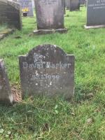 David Barker Plot 1009 - click for full size image David Barker Plot 1009 - click for full size image