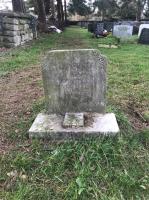 Emma Addyman Plot 1082 - click for full size image Emma Addyman Plot 1082 - click for full size image