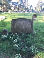 Florence Ridsdale Plot 1236 - click for full size image Florence Ridsdale Plot 1236 - click for full size image
