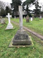 John Ashby Plot 2000 - click for full size image John Ashby Plot 2000 - click for full size image
