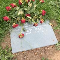 Gladys BASS Plot 476 - click for full size image