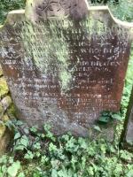 Richard Ellis Plot 3039 - click for full size image Richard Ellis Plot 3039 - click for full size image