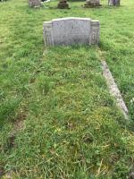 Jane GILL Plot 1003 - click for full size image Jane GILL Plot 1003 - click for full size image