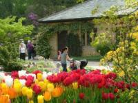 Harlow Carr - click for full size image
