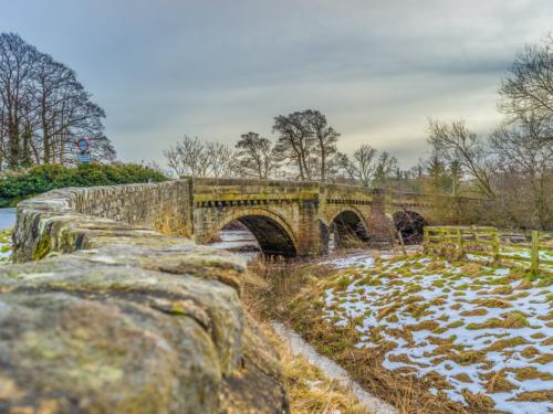 Photo by Simon Hill : January 17th 2021 : Click photo to enlarge Photo by Simon Hill : January 17th 2021 : Click photo to enlarge