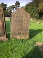 Ann Lupton Plot 109 - click for full size image Ann Lupton Plot 109 - click for full size image