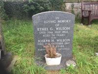 Ethel G Wilson Plot 579 - click for full size image Ethel G Wilson Plot 579 - click for full size image