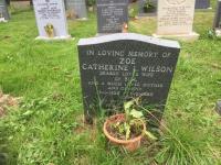 Zoe Catherine I Wilson Plot 685 - click for full size image Zoe Catherine I Wilson Plot 685 - click for full size image