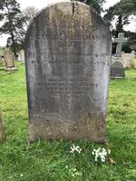 George Houseman Plot 2003 - click for full size image George Houseman Plot 2003 - click for full size image