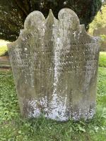 James Wilks Plot 3009 - click for full size image James Wilks Plot 3009 - click for full size image
