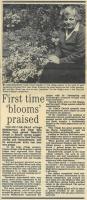 1987.06.12 - First time 'blooms' praised, PB & NH, Page 1 - click for full size image