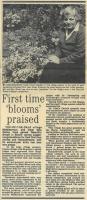 1987.06.12 - First time 'blooms' praised, PB & NH, Page 1 - click for full size image 1987.06.12 - First time 'blooms' praised, PB & NH, Page 1 - click for full size image