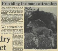 1986.06.20 - Providing the mane attraction, PB & NH, Page 1 - click for full size image 1986.06.20 - Providing the mane attraction, PB & NH, Page 1 - click for full size image