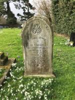 Anne Barker Plot 16 - click for full size image Anne Barker Plot 16 - click for full size image