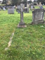 George CHAPMAN Plot 994 - click for full size image George CHAPMAN Plot 994 - click for full size image