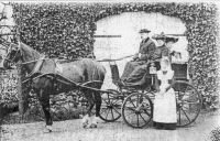 Canon Peck on Horse and Trap - click for full size image Canon Peck on Horse and Trap - click for full size image