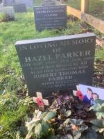 Hazel Parker AG766 - click for full size image Hazel Parker AG766 - click for full size image