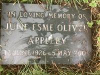 June Appleby Plot 483 - click for full size image June Appleby Plot 483 - click for full size image