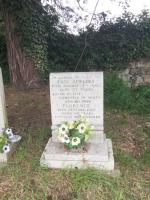 Fred Appleby Plot 509 - click for full size image Fred Appleby Plot 509 - click for full size image
