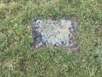Winifred Arnold Plot 843 - click for full size image Winifred Arnold Plot 843 - click for full size image