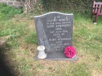 Alec ATKINSON Plot 573 - click for full size image