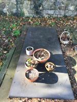 Michael David AYKROYD Plot 725 - click for full size image Michael David AYKROYD Plot 725 - click for full size image
