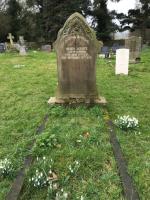 Henry ABBOTT Plot 327 - click for full size image