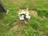 Millicent BINGLEY Plot 784 - click for full size image Millicent BINGLEY Plot 784 - click for full size image