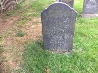John Bolam BONE Plot 727 - click for full size image John Bolam BONE Plot 727 - click for full size image