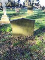 John Bramley Plot 1205 - click for full size image John Bramley Plot 1205 - click for full size image