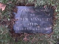 Peter Manfred Ellis Plot 496 - click for full size image Peter Manfred Ellis Plot 496 - click for full size image