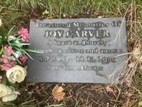 Joy CARVER Plot 492c - click for full size image Joy CARVER Plot 492c - click for full size image