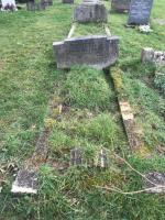 Thomas SKAIFE Plot 1054 - click for full size image Thomas SKAIFE Plot 1054 - click for full size image