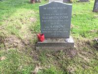 Raymond COBB Plot 854 - click for full size image Raymond COBB Plot 854 - click for full size image