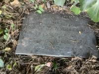 Harry DAWSON AG737 - click for full size image Harry DAWSON AG737 - click for full size image