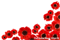 WW1 Poppies - click for full size image