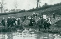 Sheep dipping. Taken near Hampsthwaite around 1910. William Busfield of what is now Lamb Cottage, is the rightmost adult holding the long pole with a hooped end. - click for full size image